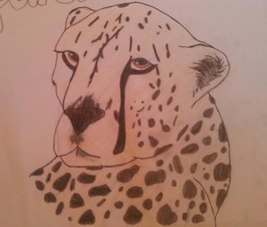 Gepard 1. Versuch.jpg