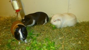 DSC_2110 (640x360).jpg