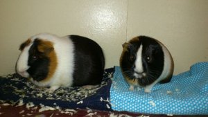 DSC_2165 (640x360).jpg