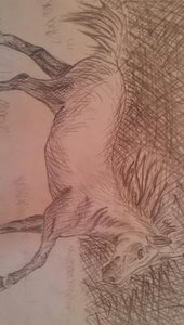 Erstes Pferd Bleistift.jpg