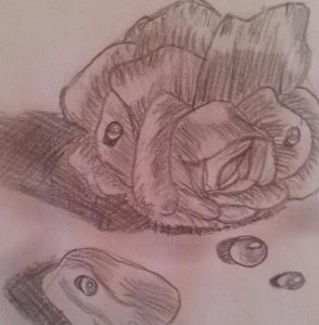 Rose mit Wassertropfen.jpg