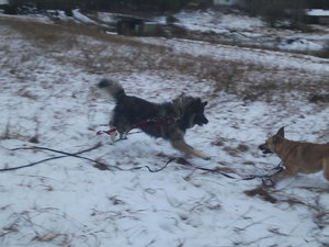 2012-12-15 09.27.13.jpg