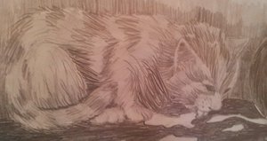 Kätzchen scleckt Milch neu.jpg