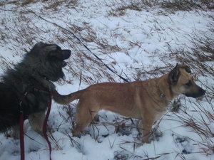 2012-12-15 09.26.08.jpg