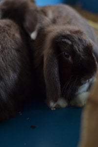 Linda_2.jpg Linda_2.jpg