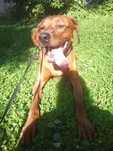 2012-07-24 17.41.52.jpg