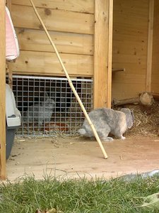 267319_354072578010758_2056325807_n.jpg 267319_354072578010758_2056325807_n.jpg