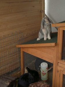 546192_306252312792785_1086477983_n.jpg 546192_306252312792785_1086477983_n.jpg