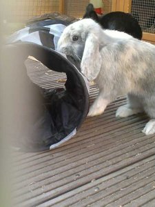 560047_274113309340019_827178203_n.jpg 560047_274113309340019_827178203_n.jpg