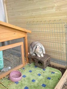 531402_274113266006690_1384892532_n.jpg 531402_274113266006690_1384892532_n.jpg