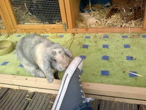 404171_274111646006852_682479189_n.jpg 404171_274111646006852_682479189_n.jpg