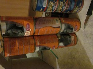 IMG_3545.JPG IMG_3545.JPG