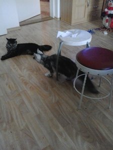 2012-12-29 08.59.04.jpg