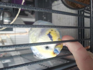 2012-12-28 11.32.13.jpg