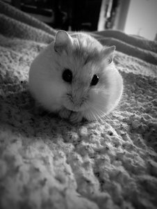 CIMG5016 - Kopie - Kopie.JPG