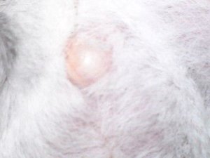 02012013722.JPG 02012013722.JPG