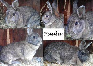 K640_Paula.JPG K640_Paula.JPG