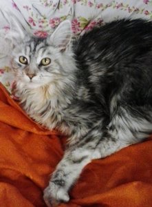 2013-01-03 11.39.47.jpg