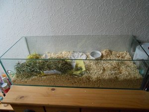 Käääää7.jpg Käääää7.jpg