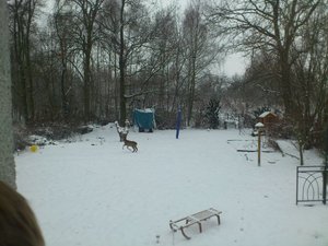 Winter 2012 (14).jpg