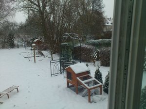 Winter 2012 (10).jpg