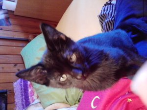 P301012_13.44.jpg P301012_13.44.jpg