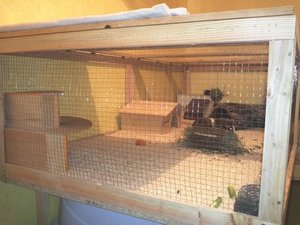 img392fuq7q.jpg img392fuq7q.jpg