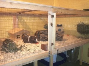 img3918rp5f.jpg img3918rp5f.jpg