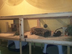 img394beo7j.jpg img394beo7j.jpg