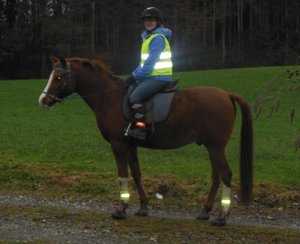 DSCN6734.JPG DSCN6734.JPG