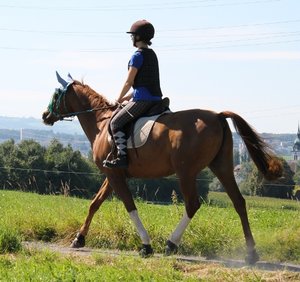 IMG_1374.JPG IMG_1374.JPG