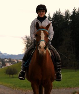 IMG_2734 - Kopie.JPG IMG_2734 - Kopie.JPG