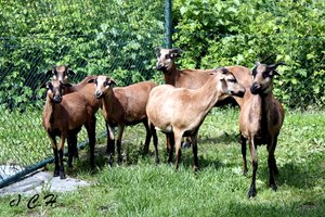 GAP-Mai-09 109bkc.jpg