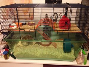 Käfig.JPG Käfig.JPG