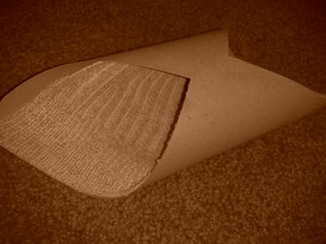 2013-01-09 20.02.46.jpg