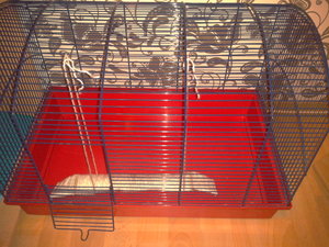 2013-01-09 20.18.04.jpg