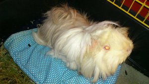 DSC_2254 (640x360).jpg DSC_2254 (640x360).jpg