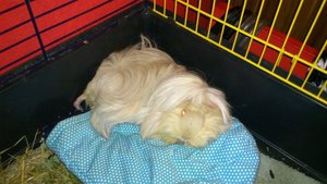 DSC_2257 (640x360).jpg DSC_2257 (640x360).jpg