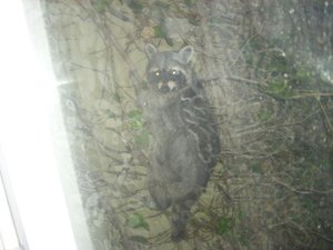 484402_331191540294130_1834919920_n.jpg 484402_331191540294130_1834919920_n.jpg