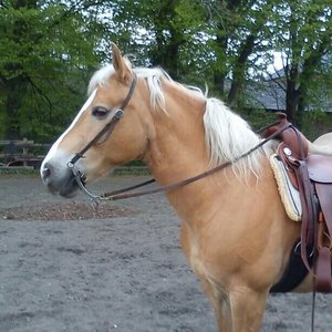 alles 1740.jpg alles 1740.jpg