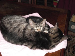 PICT0988.JPG PICT0988.JPG