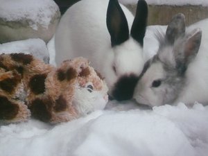 bis 19.1 .2013 017.JPG