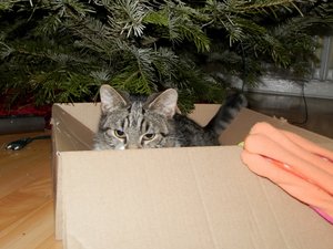 P1050102 (640x480).jpg P1050102 (640x480).jpg