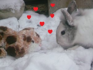 bis 19.1 .2013 023.JPG