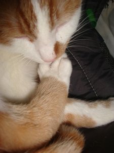 DSC05898.jpg DSC05898.jpg