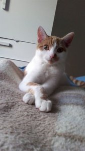 küssdiekralle.jpg küssdiekralle.jpg