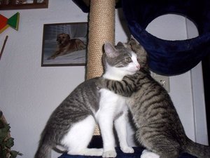 SDC10596.JPG SDC10596.JPG