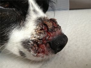 Jimmy6.JPG Jimmy6.JPG