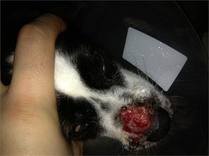 Jimmy7.JPG Jimmy7.JPG