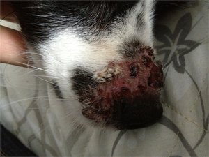 Jimmy10.JPG Jimmy10.JPG